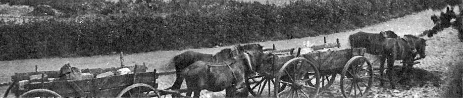 blokwagens 1890
