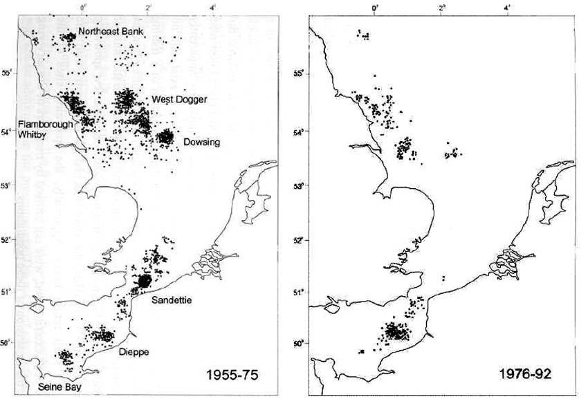 achteruitgang van het aantal paaiplaatsen van haring 1955-1992